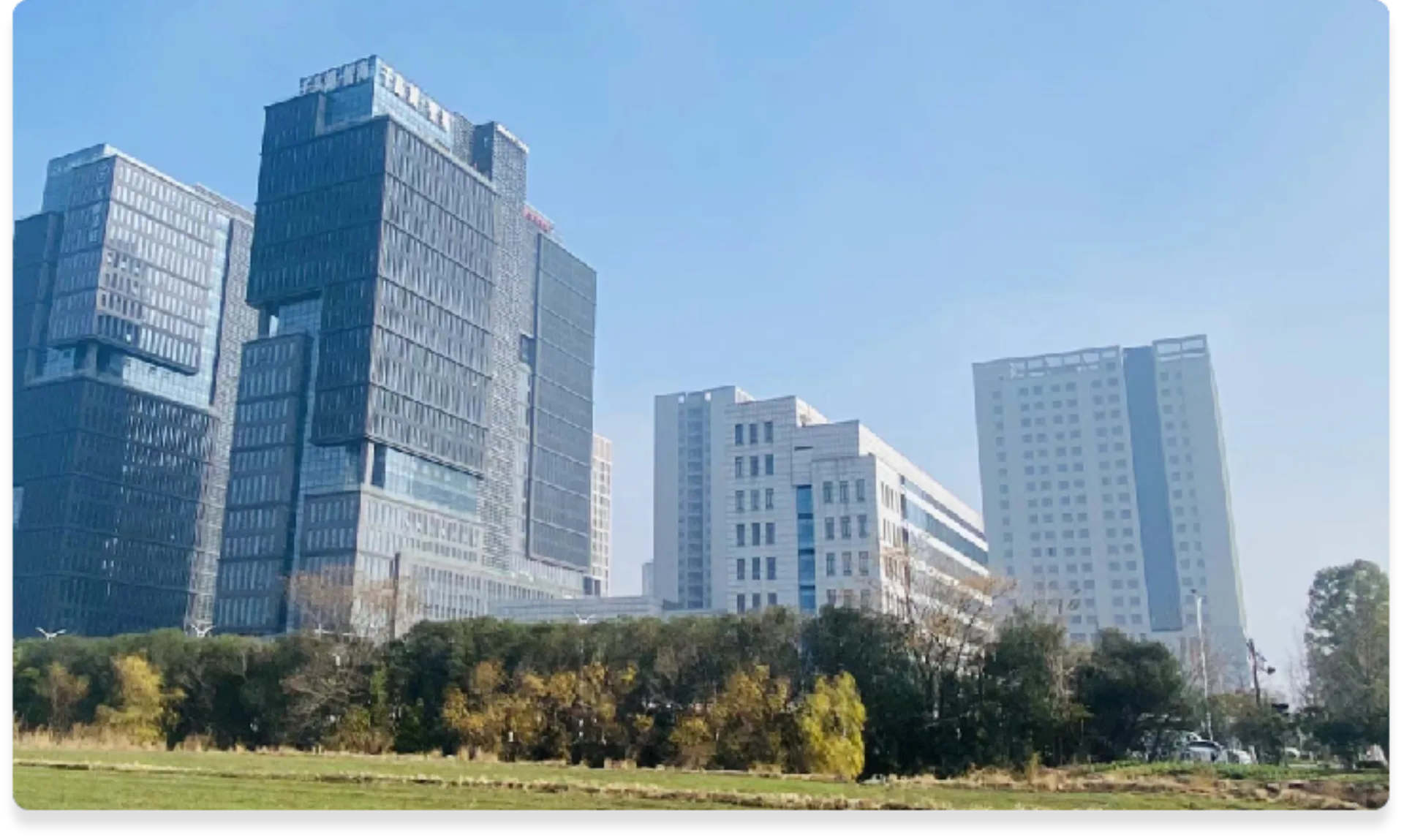 浙江人才发展集团园区楼宇实景